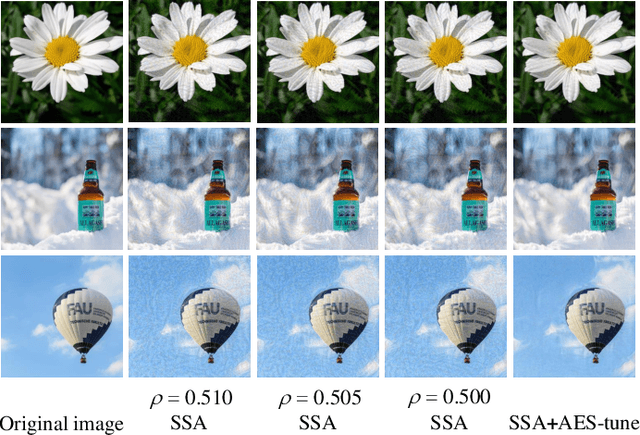 Figure 3 for Adversarial example soups: averaging multiple adversarial examples improves transferability without increasing additional generation time