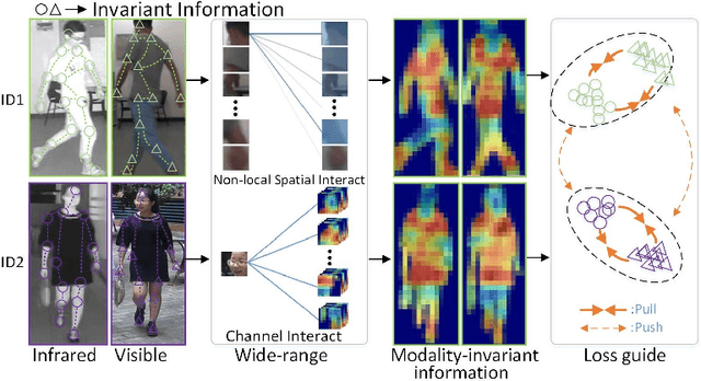 Figure 1 for WRIM-Net: Wide-Ranging Information Mining Network for Visible-Infrared Person Re-Identification