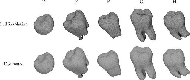 Figure 4 for Attention Maps in 3D Shape Classification for Dental Stage Estimation with Class Node Graph Attention Networks