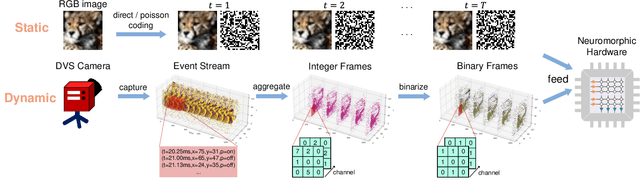 Figure 3 for Towards Effective and Sparse Adversarial Attack on Spiking Neural Networks via Breaking Invisible Surrogate Gradients