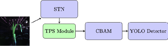 Figure 1 for CBAM-STN-TPS-YOLO: Enhancing Agricultural Object Detection through Spatially Adaptive Attention Mechanisms