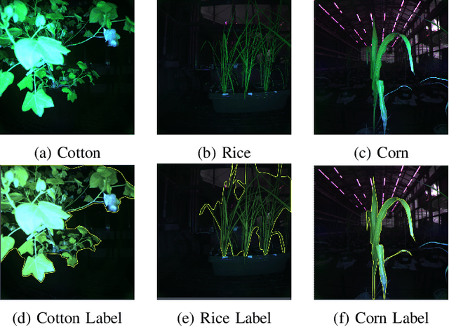 Figure 2 for CBAM-STN-TPS-YOLO: Enhancing Agricultural Object Detection through Spatially Adaptive Attention Mechanisms