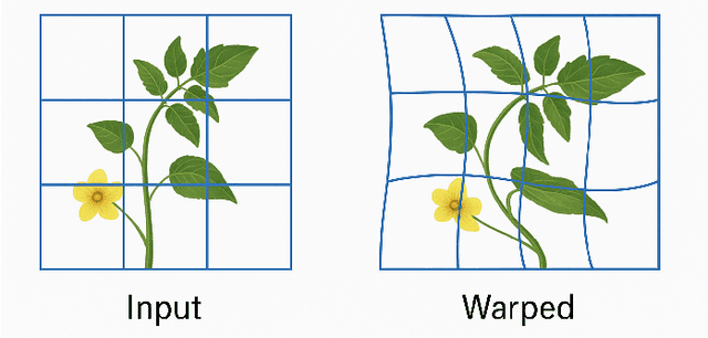 Figure 3 for CBAM-STN-TPS-YOLO: Enhancing Agricultural Object Detection through Spatially Adaptive Attention Mechanisms