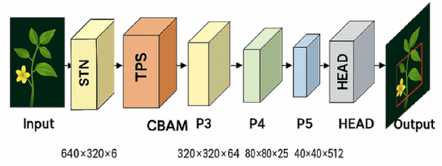 Figure 4 for CBAM-STN-TPS-YOLO: Enhancing Agricultural Object Detection through Spatially Adaptive Attention Mechanisms