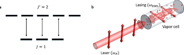 Figure 4 for Solving tricky quantum optics problems with assistance from (artificial) intelligence