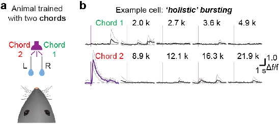 Figure 1 for HB-net: Holistic bursting cell cluster integrated network for occluded multi-objects recognition