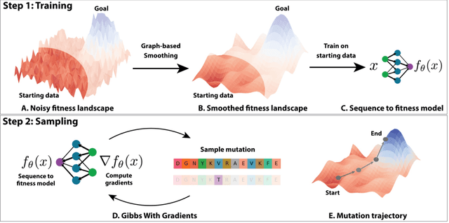 Figure 1 for Optimizing protein fitness using Gibbs sampling with Graph-based Smoothing