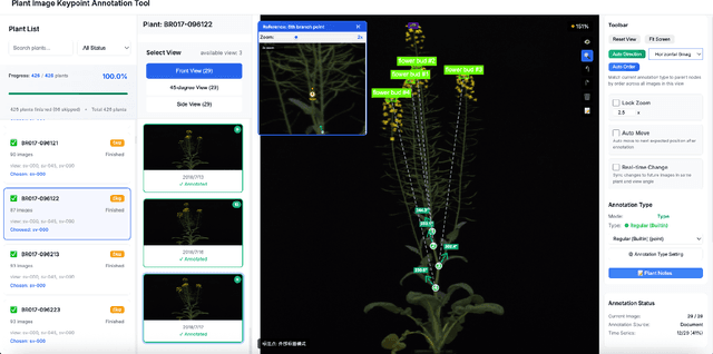 Figure 3 for ST-DETrack: Identity-Preserving Branch Tracking in Entangled Plant Canopies via Dual Spatiotemporal Evidence
