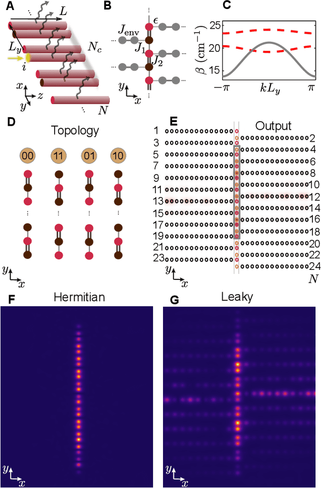 Figure 1 for Identifying topology of leaky photonic lattices with machine learning