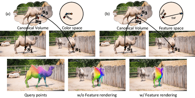 Figure 4 for Decomposition Betters Tracking Everything Everywhere