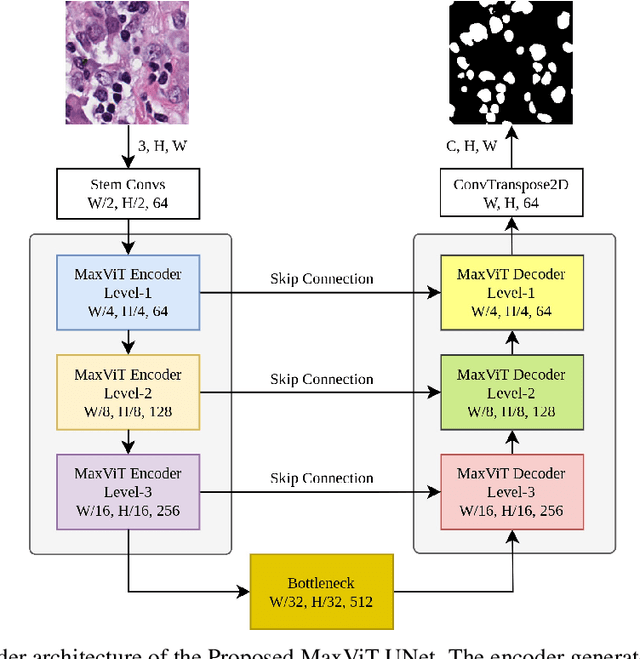 Figure 1 for MaxViT-UNet: Multi-Axis Attention for Medical Image Segmentation