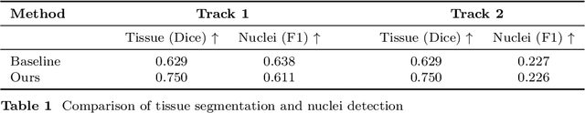 Figure 2 for Cracking the PUMA Challenge in 24 Hours with CellViT++ and nnU-Net