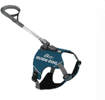 Figure 4 for See Spot Guide: Accessible Interfaces for an Assistive Quadruped Robot