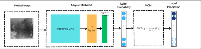 Figure 1 for TLMCM Network for Medical Image Hierarchical Multi-Label Classification
