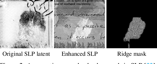 Figure 3 for A Universal Latent Fingerprint Enhancer Using Transformers