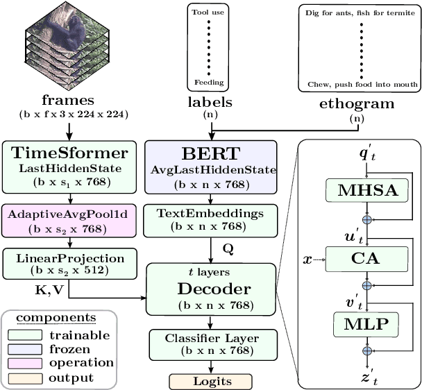 Figure 3 for ChimpVLM: Ethogram-Enhanced Chimpanzee Behaviour Recognition