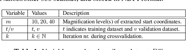 Figure 2 for Deep Learning for Predicting Metastasis on Melanoma WSIs