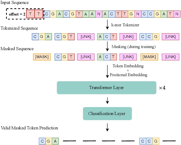 Figure 3 for BarcodeBERT: Transformers for Biodiversity Analysis
