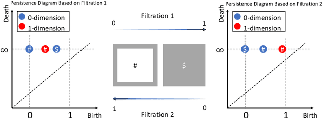 Figure 3 for Topological Analysis of Mouse Brain Vasculature via 3D Light-sheet Microscopy Images
