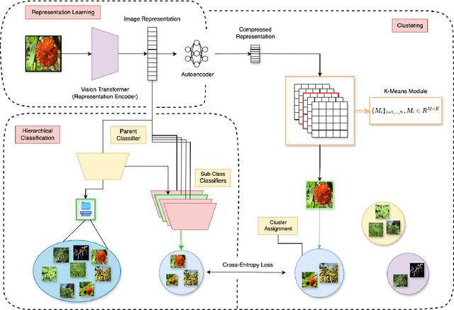 Figure 2 for FGDCC: Fine-Grained Deep Cluster Categorization -- A Framework for Intra-Class Variability Problems in Plant Classification