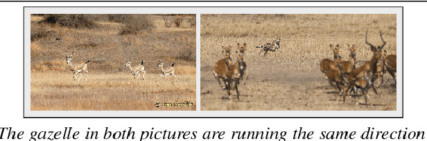 Figure 3 for Newvision: application for helping blind people using deep learning