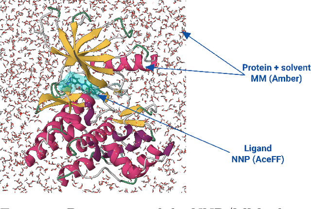 Figure 1 for QuantumBind-RBFE: Accurate Relative Binding Free Energy Calculations Using Neural Network Potentials