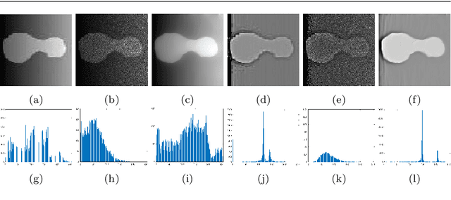 Figure 1 for An ICTM-RMSAV Framework for Bias-Field Aware Image Segmentation under Poisson and Multiplicative Noise