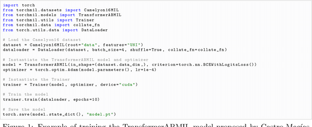 Figure 1 for torchmil: A PyTorch-based library for deep Multiple Instance Learning