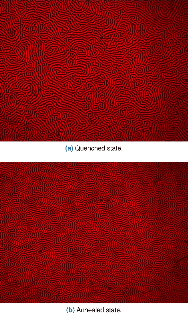 Figure 1 for Characterization of Magnetic Labyrinthine Structures through Junctions and Terminals Detection using Template Matching and CNN