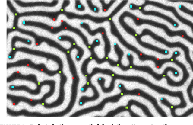 Figure 3 for Characterization of Magnetic Labyrinthine Structures through Junctions and Terminals Detection using Template Matching and CNN