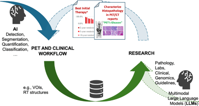 Figure 1 for Nuclear Medicine Artificial Intelligence in Action: The Bethesda Report (AI Summit 2024)