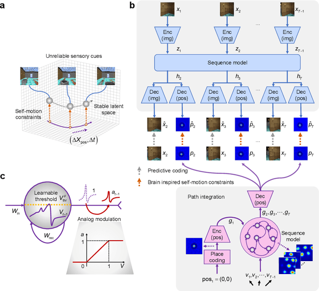 Figure 1 for Self-motion as a structural prior for coherent and robust formation of cognitive maps