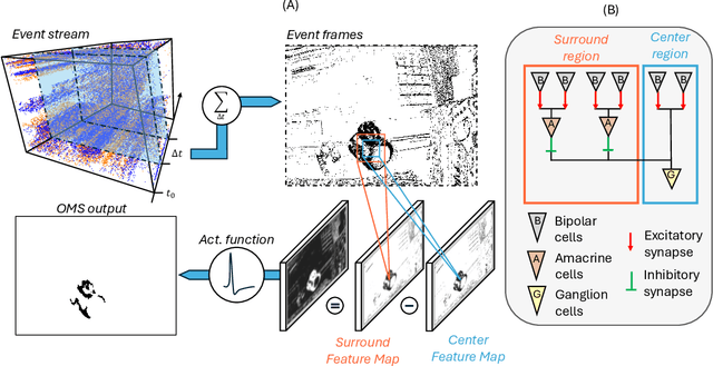 Figure 1 for Retina-inspired Object Motion Segmentation