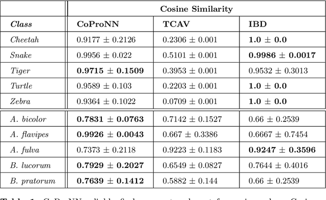Figure 2 for CoProNN: Concept-based Prototypical Nearest Neighbors for Explaining Vision Models
