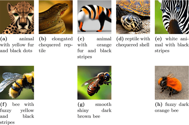 Figure 3 for CoProNN: Concept-based Prototypical Nearest Neighbors for Explaining Vision Models