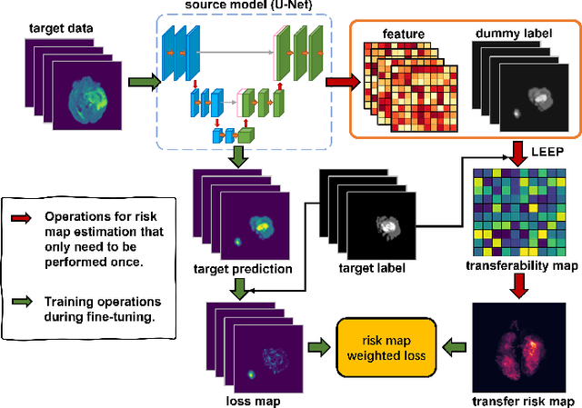 Figure 1 for Transfer Risk Map: Mitigating Pixel-level Negative Transfer in Medical Segmentation