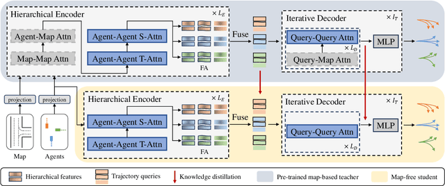 Figure 3 for Map-Free Trajectory Prediction with Map Distillation and Hierarchical Encoding