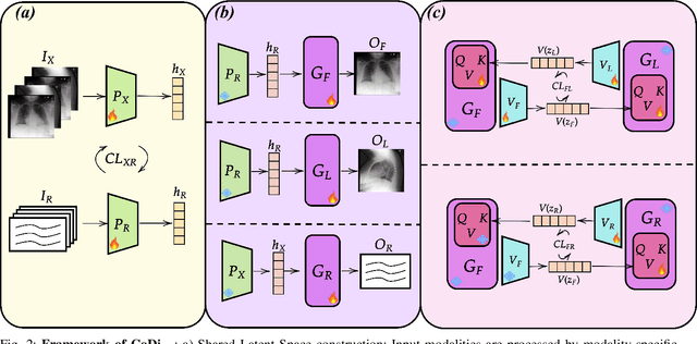Figure 2 for Any-to-Any Vision-Language Model for Multimodal X-ray Imaging and Radiological Report Generation