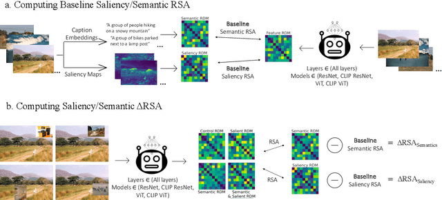 Figure 1 for Saliency Suppressed, Semantics Surfaced: Visual Transformations in Neural Networks and the Brain