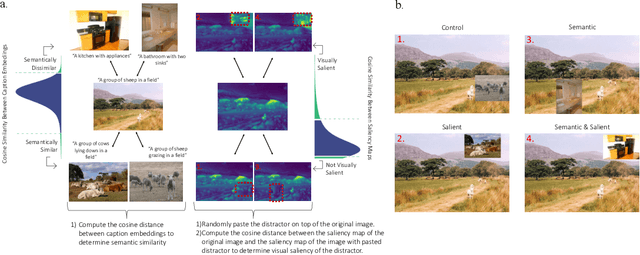 Figure 4 for Saliency Suppressed, Semantics Surfaced: Visual Transformations in Neural Networks and the Brain