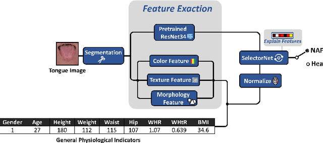 Figure 1 for A Non-Invasive Interpretable NAFLD Diagnostic Method Combining TCM Tongue Features