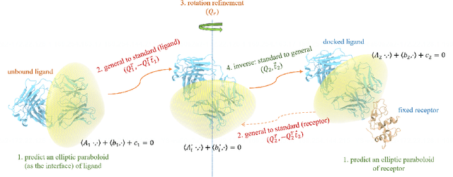 Figure 3 for Rigid Protein-Protein Docking via Equivariant Elliptic-Paraboloid Interface Prediction