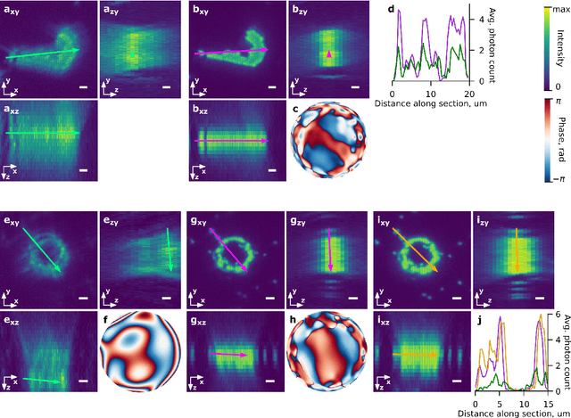 Figure 2 for Differentiable optimization of the Debye-Wolf integral for light shaping and adaptive optics in two-photon microscopy