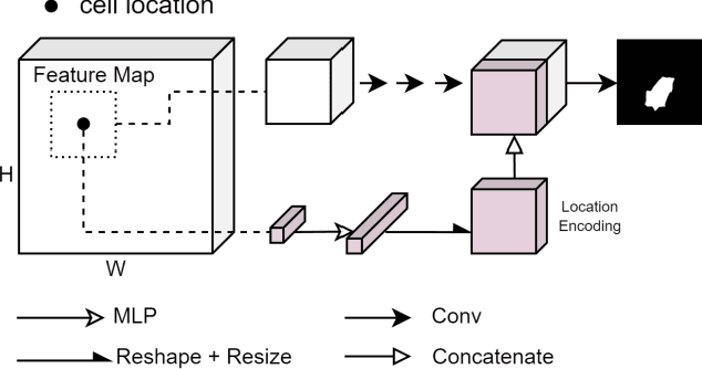 Figure 3 for Point-supervised Single-cell Segmentation via Collaborative Knowledge Sharing