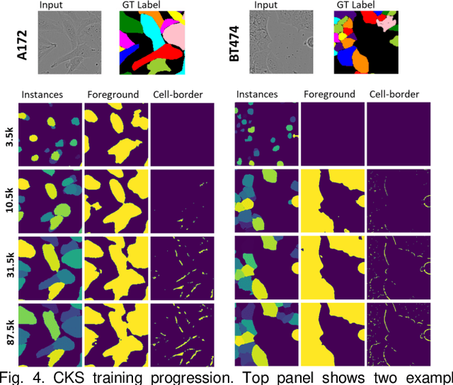 Figure 4 for Point-supervised Single-cell Segmentation via Collaborative Knowledge Sharing