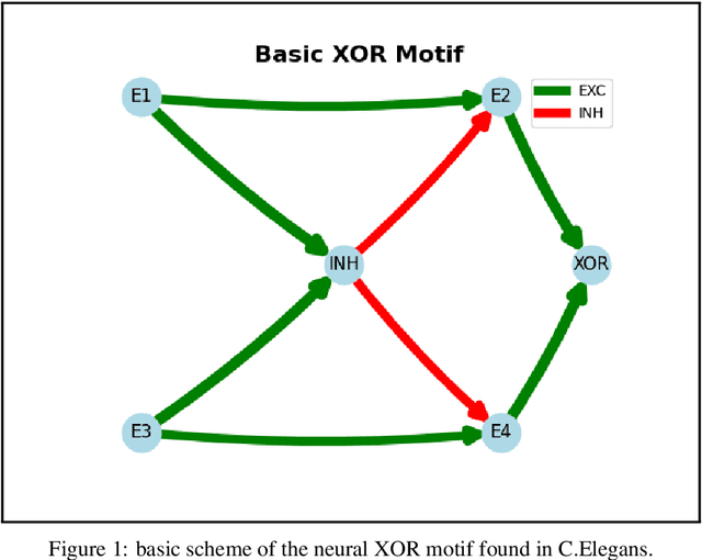 Figure 1 for From Worms to Mice: Homeostasis Maybe All You Need