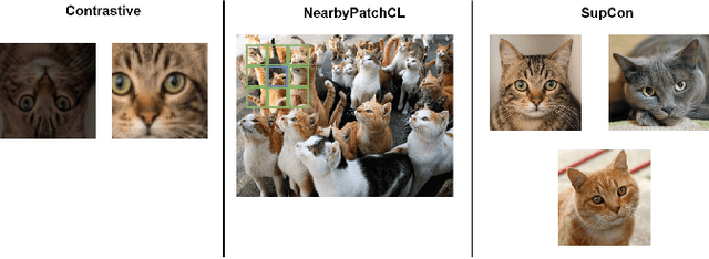 Figure 1 for NearbyPatchCL: Leveraging Nearby Patches for Self-Supervised Patch-Level Multi-Class Classification in Whole-Slide Images