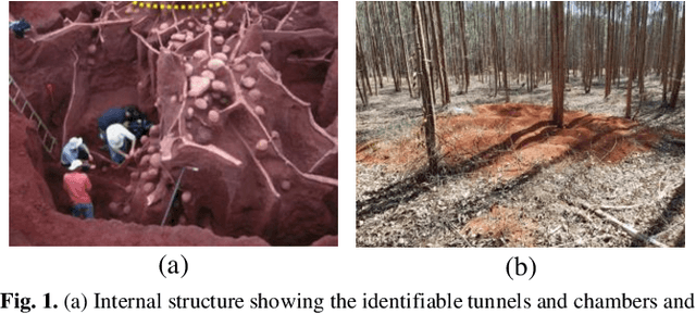 Figure 1 for Ant Nest Detection Using Underground P-Band TomoSAR