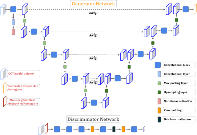Figure 3 for Probabilistic volumetric speckle suppression in OCT using deep learning