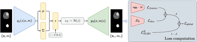 Figure 1 for Discriminative Hamiltonian Variational Autoencoder for Accurate Tumor Segmentation in Data-Scarce Regimes